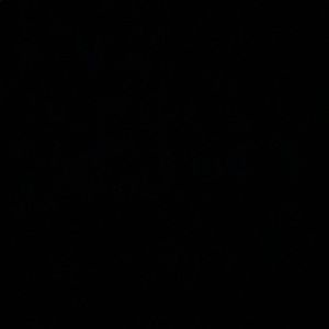 Meet your Posher, Dylan